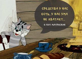 цитаты из советских мультиков, кот матроскин